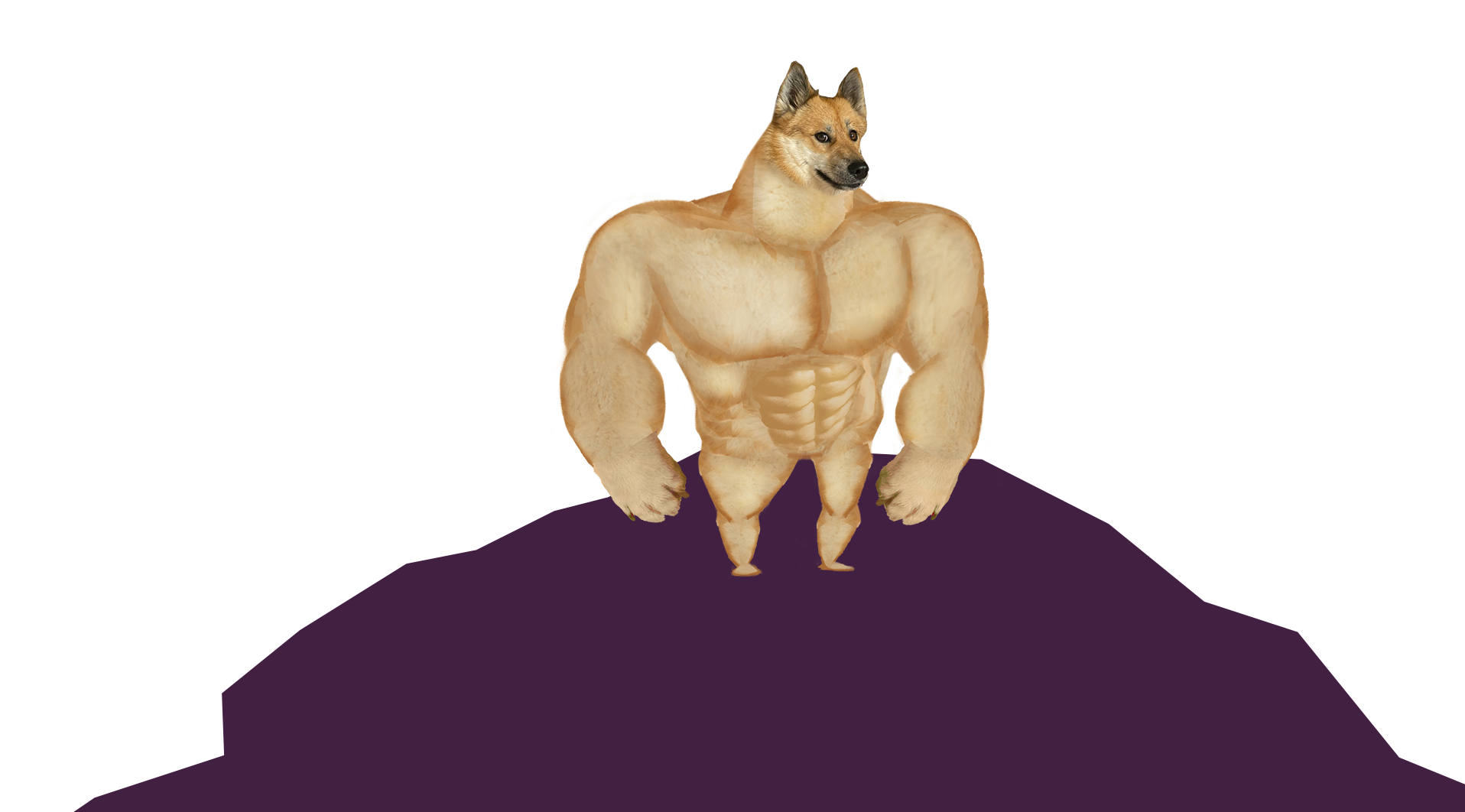 DOGE 2